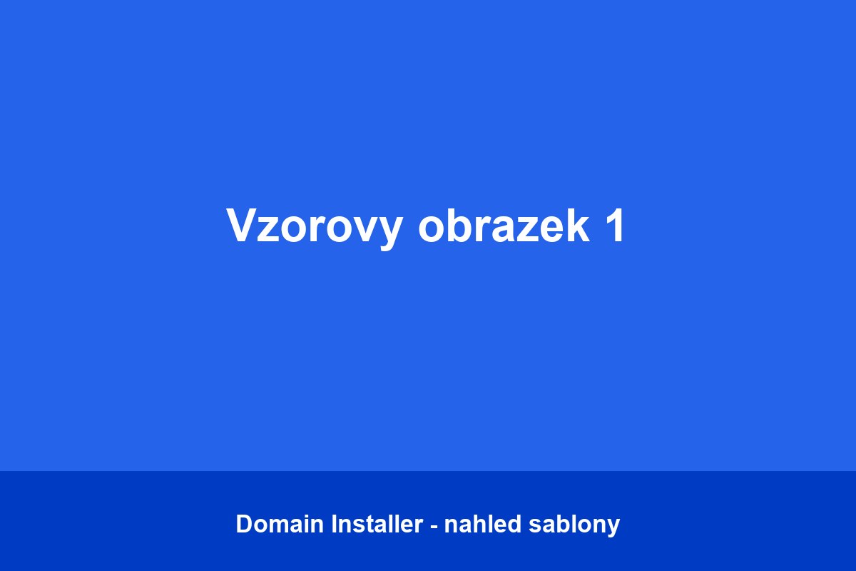 vzor1.jpg