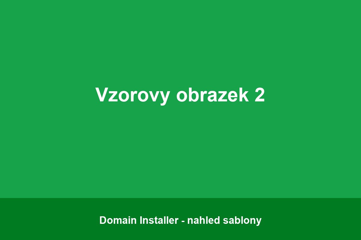 vzor2.jpg