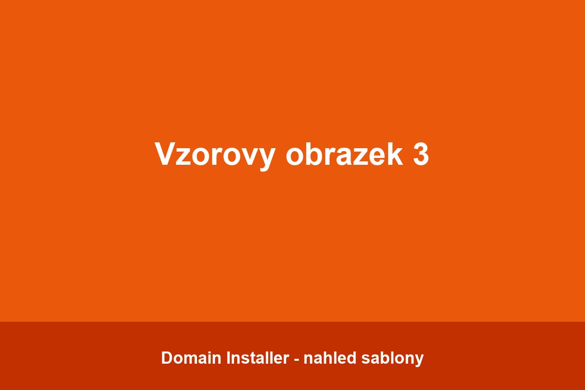 vzor3.jpg