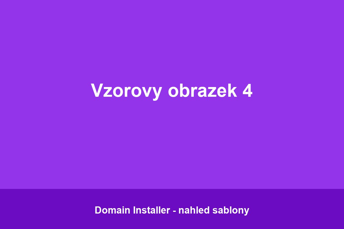 vzor4.jpg
