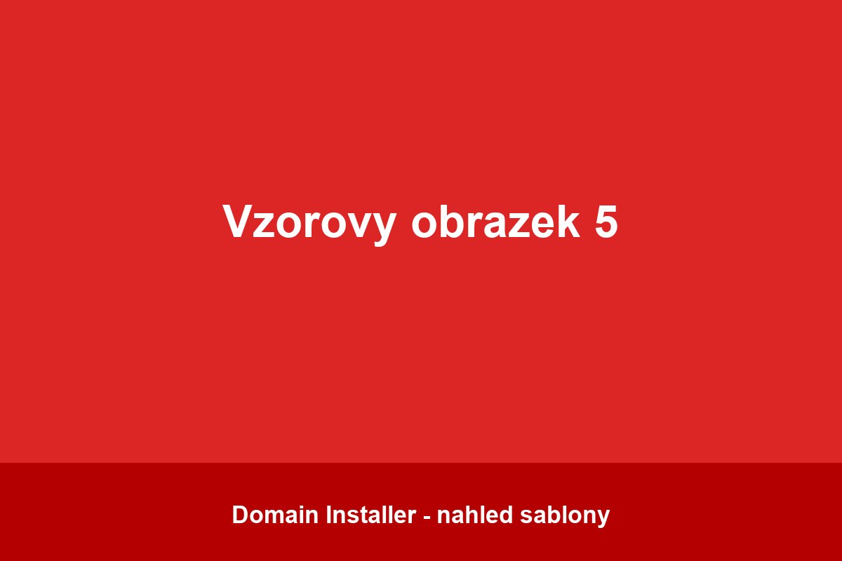 vzor5.jpg