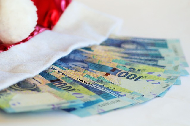 vánoční bonus.jpg